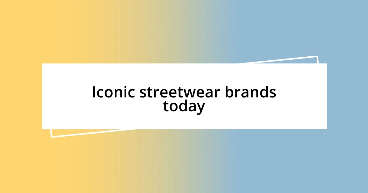 Iconic streetwear brands today